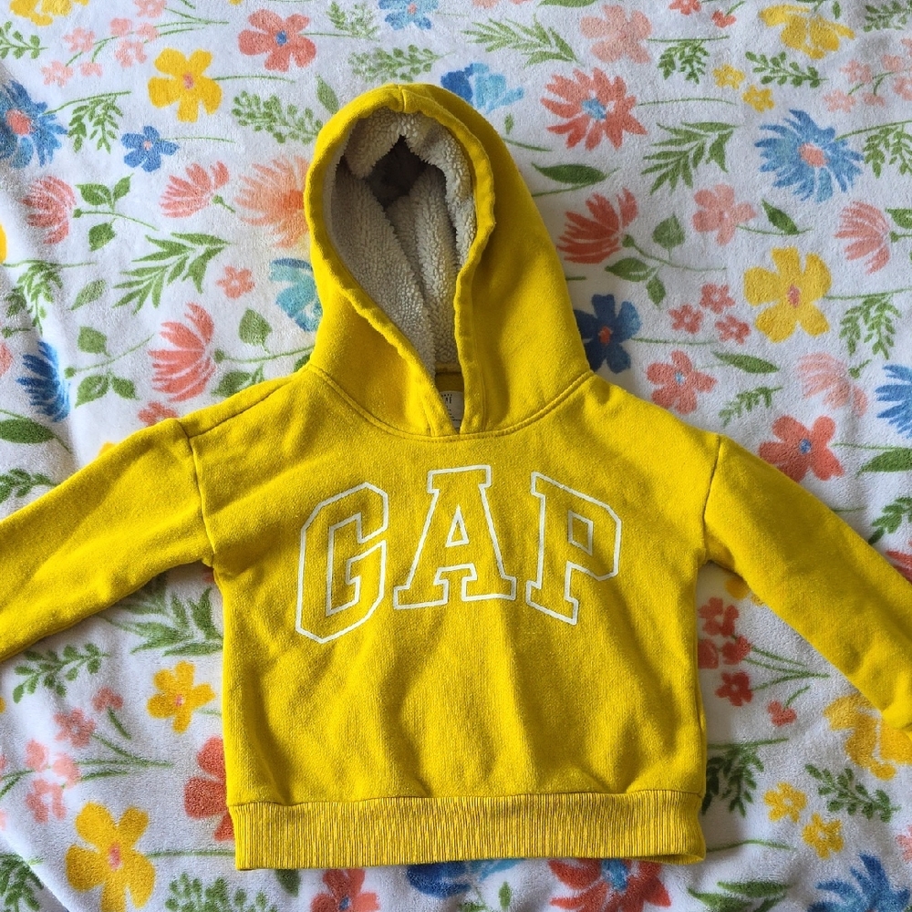 Toddler GAP Hoodie